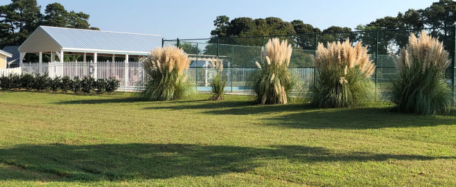 Beautiful Swimming Pool and Tennis Court